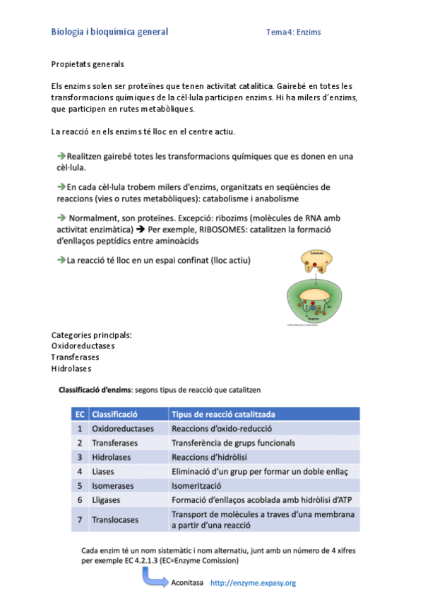 Miniatura del documento 2.pdf