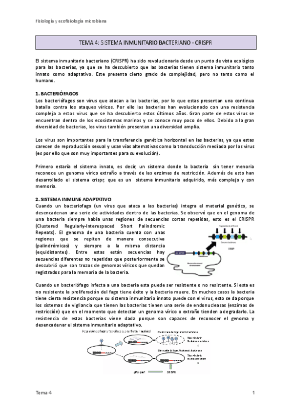 Miniatura del documento 4. CRISPR