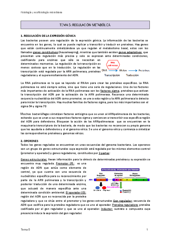 Miniatura del documento 5.Regulación metabólica