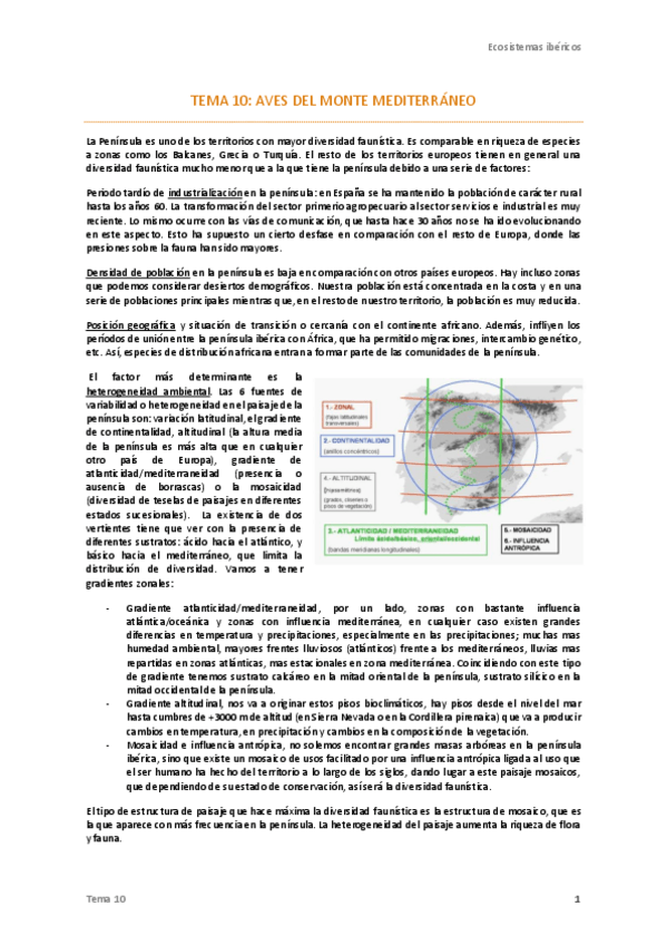 Miniatura del documento 10. Aves del monte mediterráneo