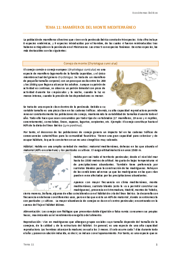 Miniatura del documento Tema-11-Ecos.pdf