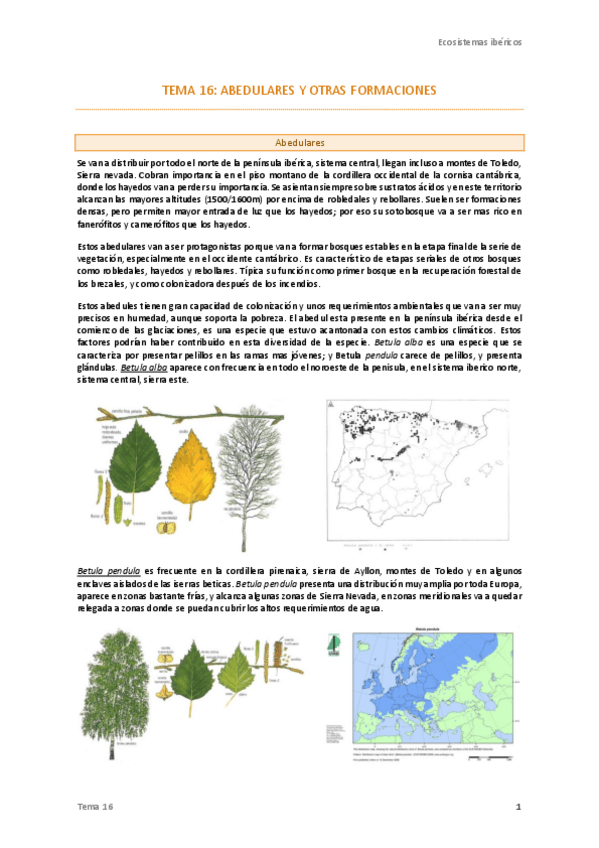 Miniatura del documento Tema-16-Ecos-.pdf