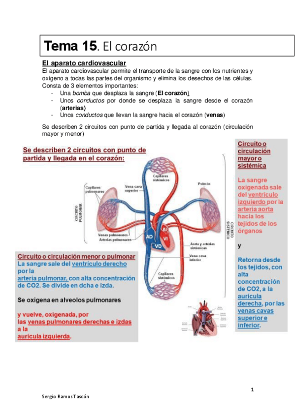 Miniatura del documento Apuntes-segundo-parcial.pdf