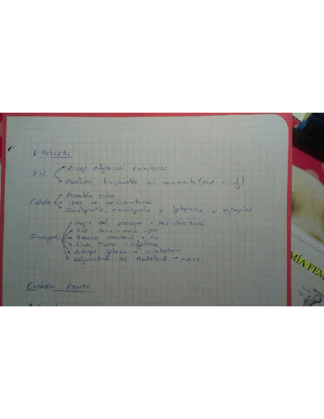 Miniatura del documento Preguntas cortas y desarrollo 2013-14.pdf