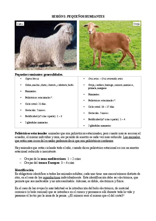 Miniatura del documento Clase-Joel-I.pdf