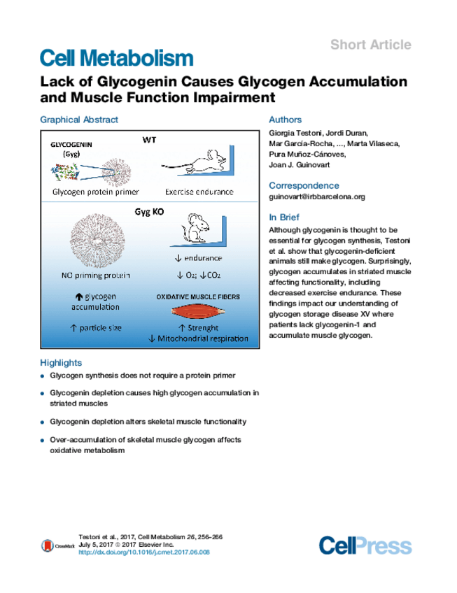 Miniatura del documento testoni2017.pdf