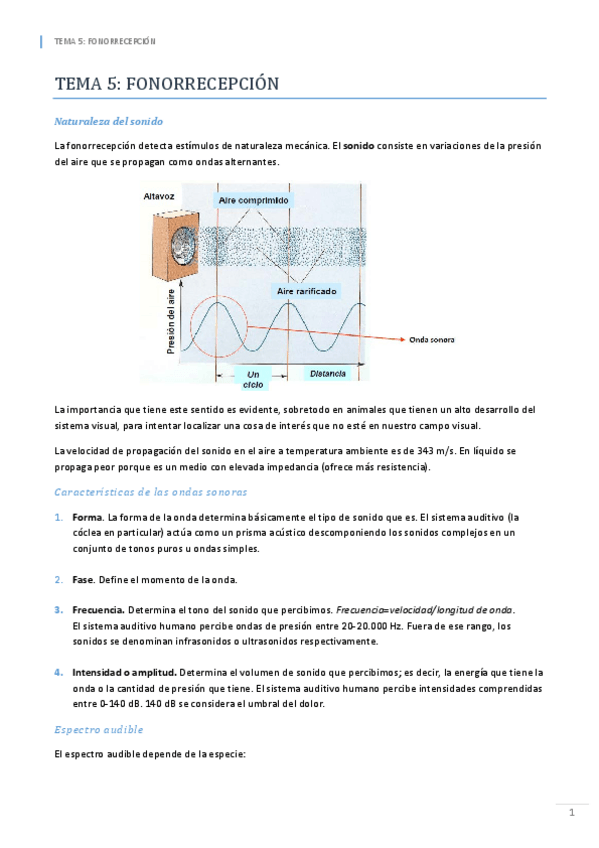 Miniatura del documento TEMA 4. Fotorrecepción y visión.pdf