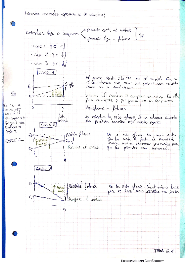 Miniatura del documento Sistema-financiero-tema-6.pdf