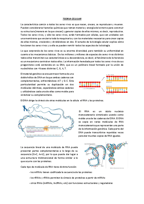 Miniatura del documento biocel.pdf