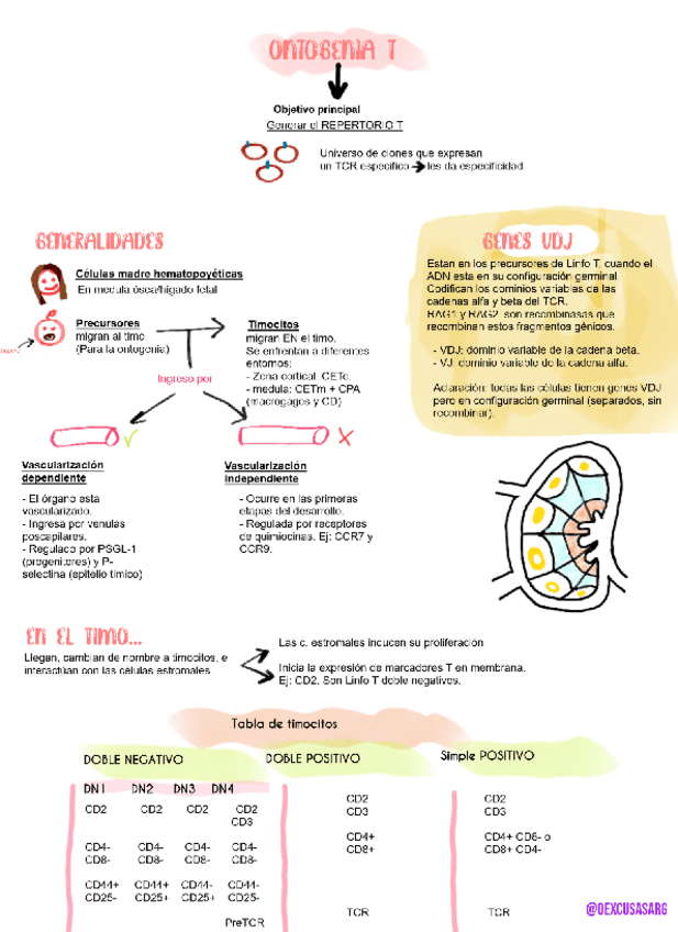 Miniatura del documento LT-OK.pdf