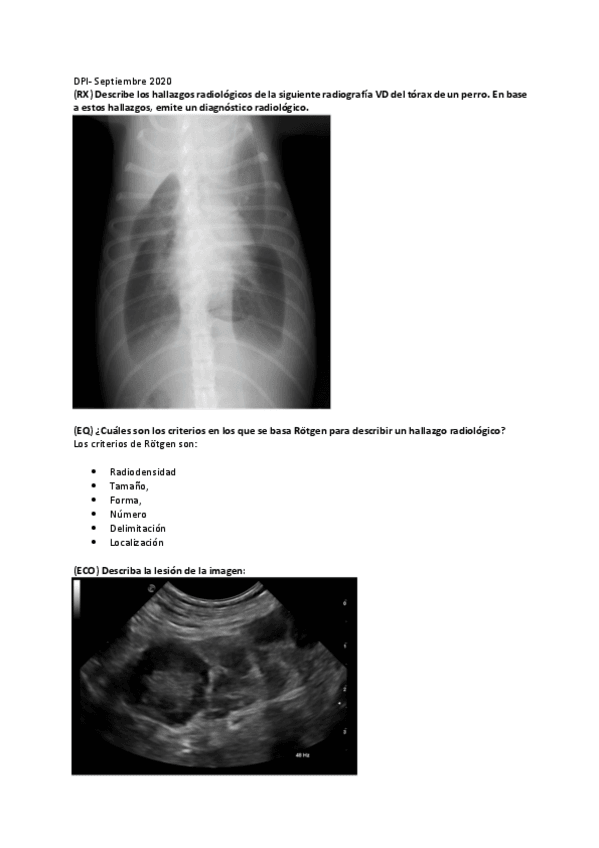 Miniatura del documento sep-2020.pdf