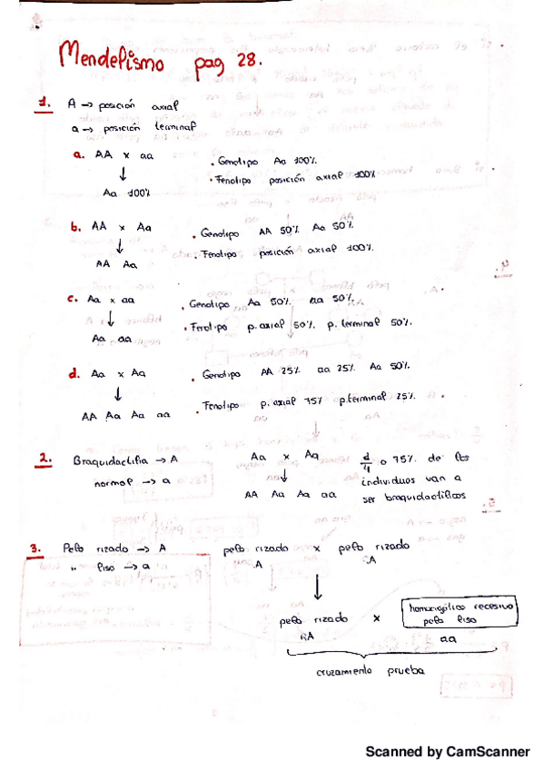 Miniatura del documento Problemas resueltos.pdf
