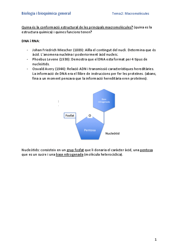 Miniatura del documento Quina-es-la-conformacio-estructural-de-les-principals-macromolecules.pdf