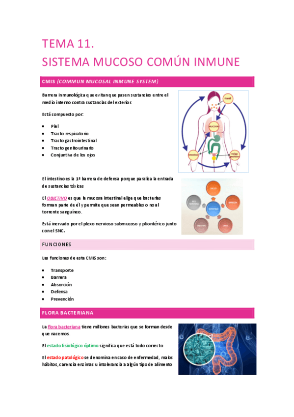 Miniatura del documento TEMA-11.pdf
