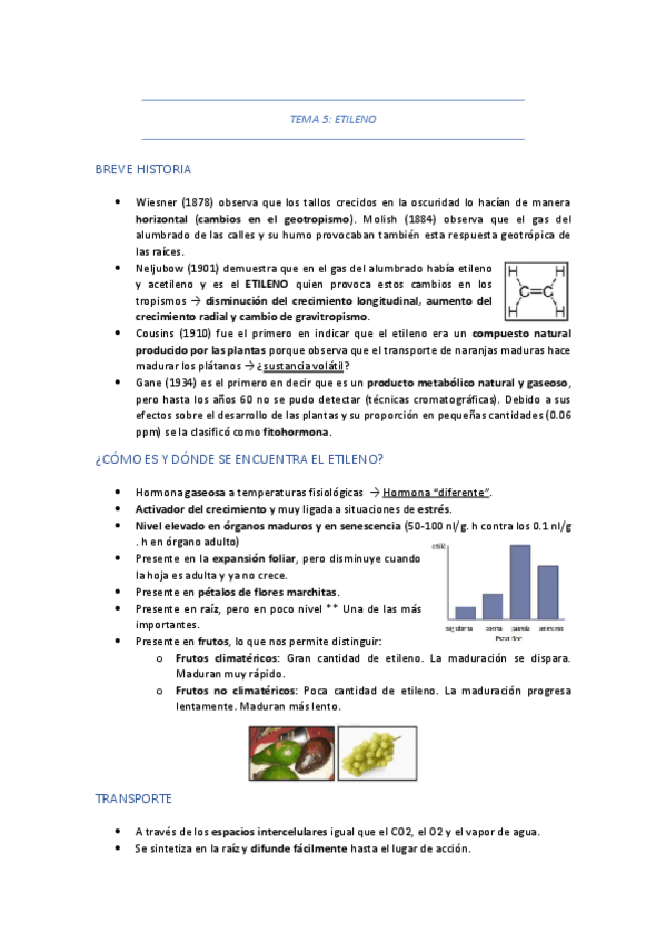 Miniatura del documento TEMA-5-ETILENO.pdf