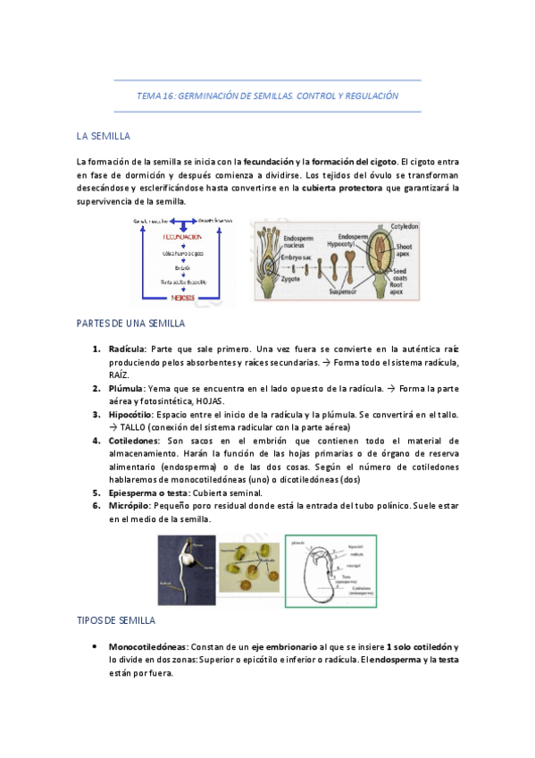 Miniatura del documento TEMA-16-GERMINACION-DE-SEMILLAS.pdf