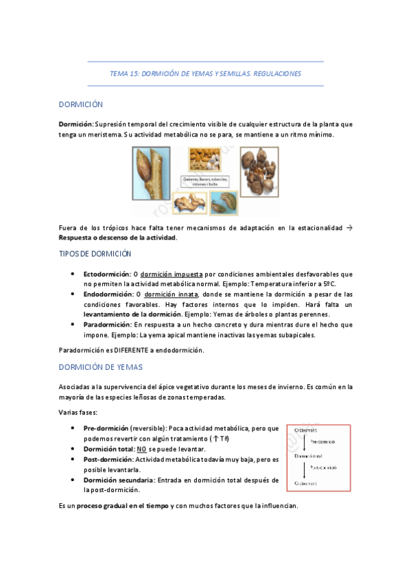 Miniatura del documento TEMA-15-DORMICION-DE-YEMAS-Y-SEMILLAS.pdf