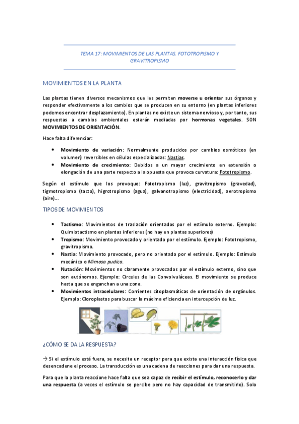 Miniatura del documento TEMA-17-MOVIMIENTOS-DE-LAS-PLANTAS.pdf