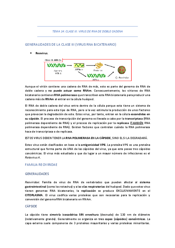 Miniatura del documento TEMA-14-CLASE-III-VIRUS-DE-RNA-DE-DOBLE-CADENA.pdf