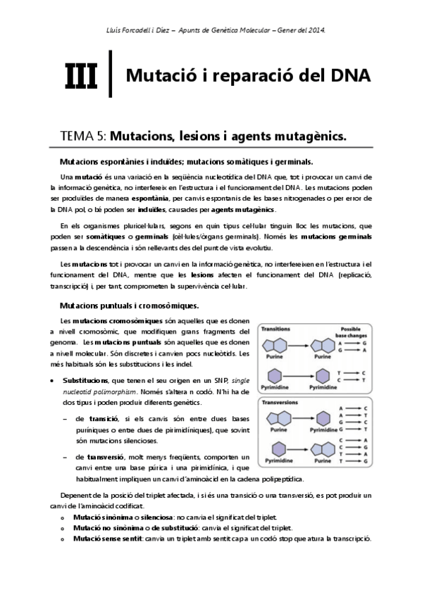 Miniatura del documento Bloc 2 - Replicació del DNA_3.pdf