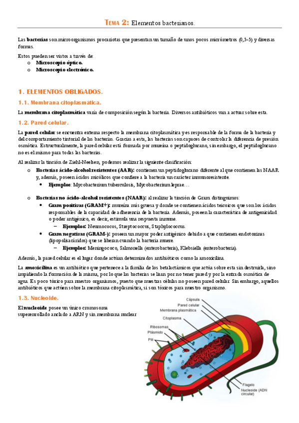 Miniatura del documento TEMA-2.pdf