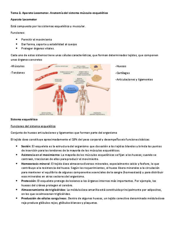 Miniatura del documento Tema-2.pdf