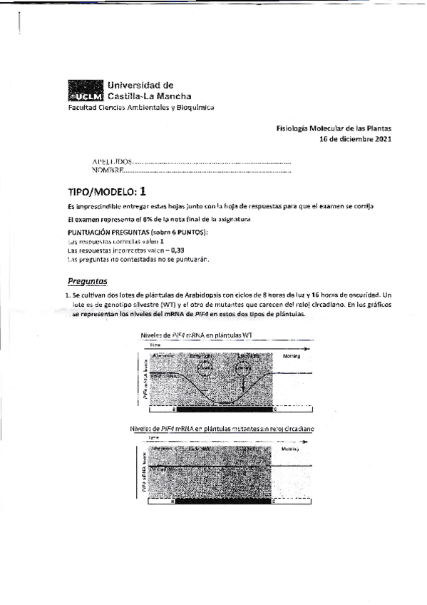 Miniatura del documento Prueba-progreso-plantas-2.pdf