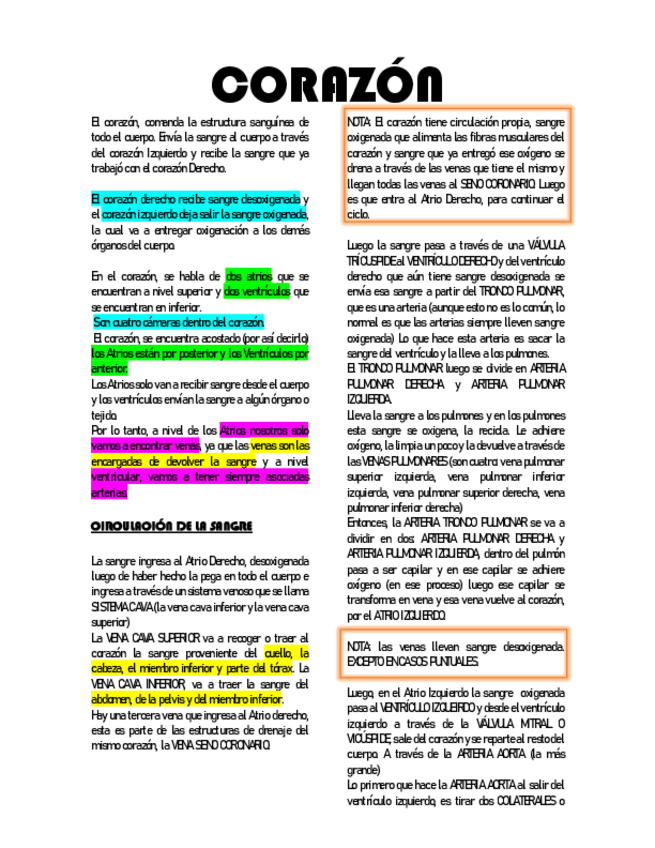 Miniatura del documento Corazon.pdf