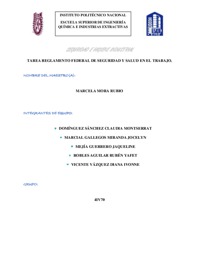 Miniatura del documento Reglamento-federal-de-seguridad-y-salud-en-el-trabajo.pdf
