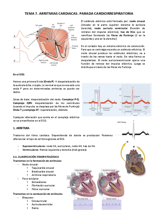 Miniatura del documento TEMA-7.pdf