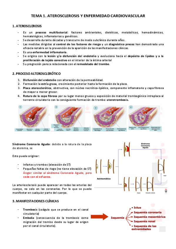 Miniatura del documento TEMA-1.pdf