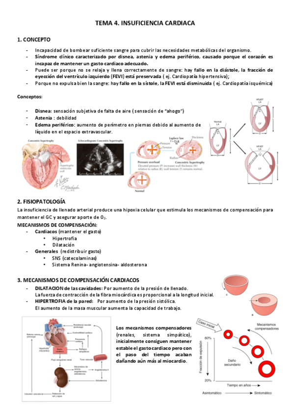 Miniatura del documento TEMA-4.pdf