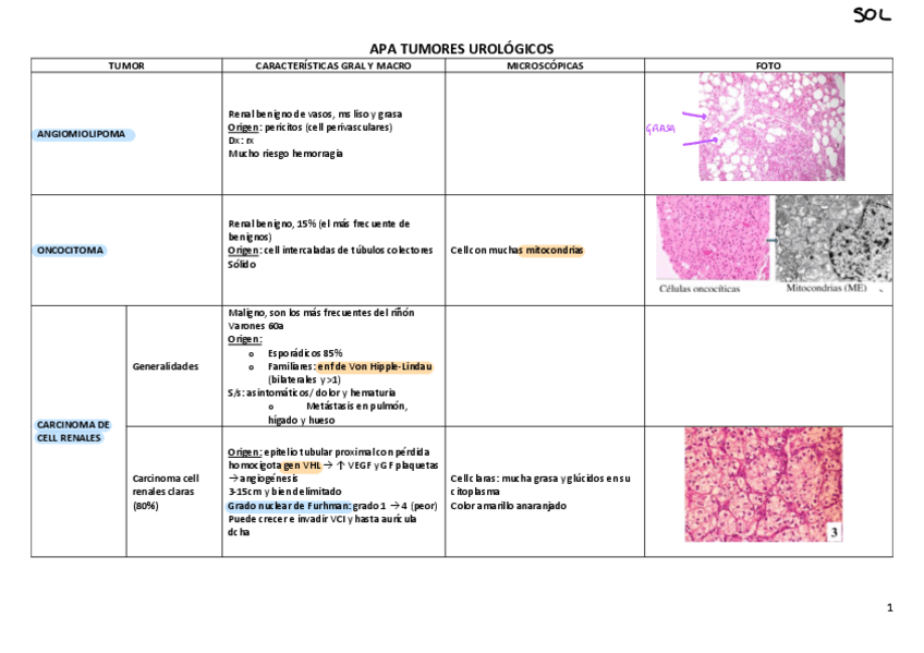 Miniatura del documento APA-todo.pdf