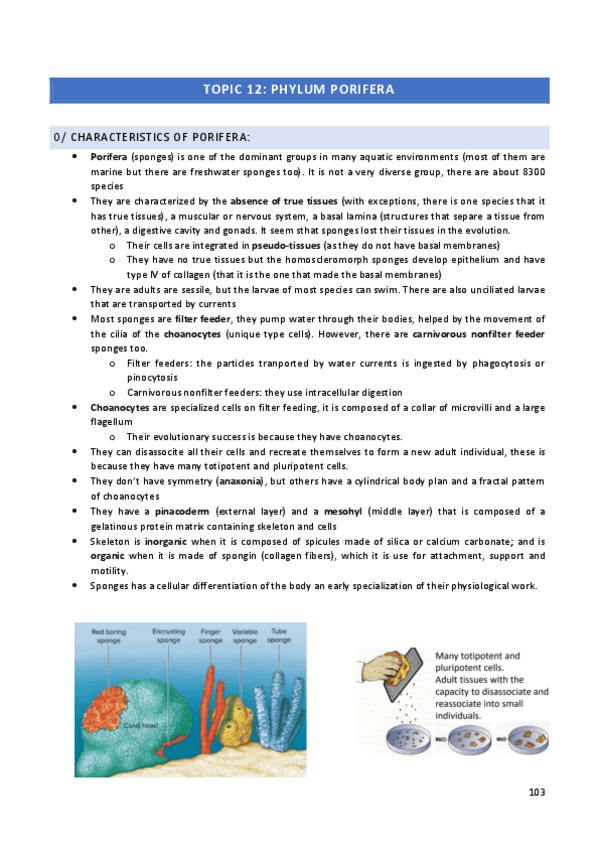 Miniatura del documento Zoology-Topic-12.pdf