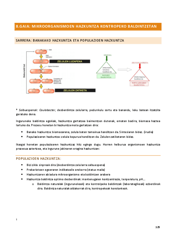 Miniatura del documento Mikro-8.pdf