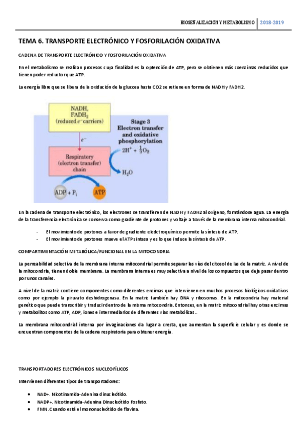 Miniatura del documento TEMA-6-BSM-TRANSPORTE-ELECTRONICO.pdf