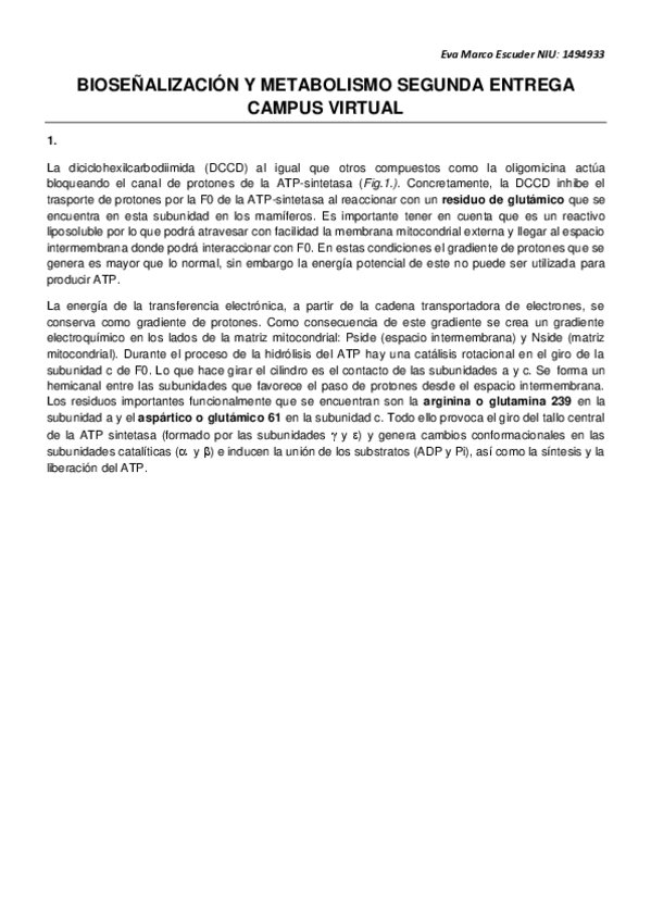 Miniatura del documento ENTREGA-II-BSM.pdf