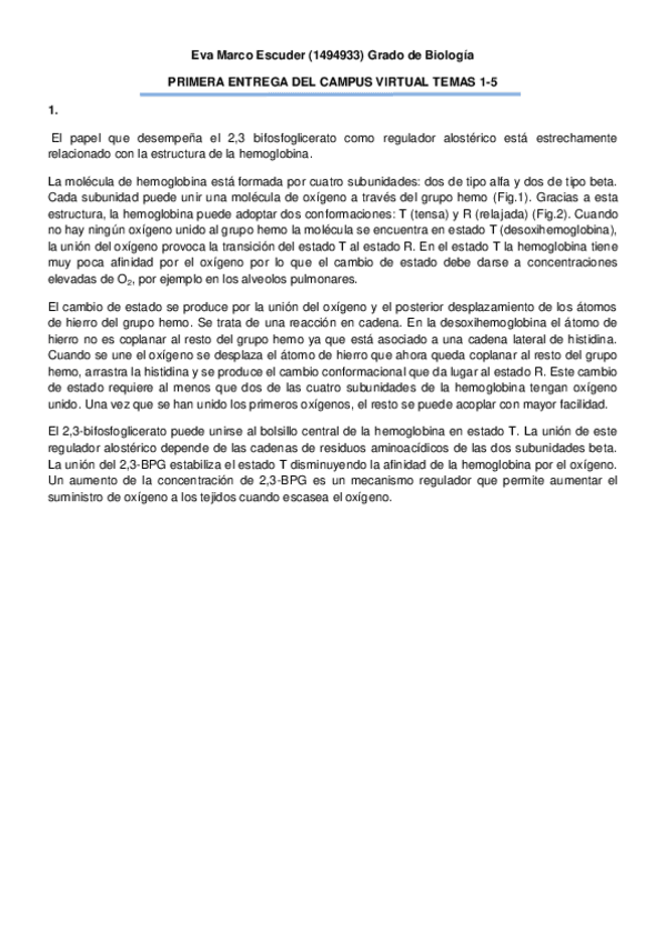 Miniatura del documento PRIMERA-ENTREGA-CV-BSM-PDF.pdf