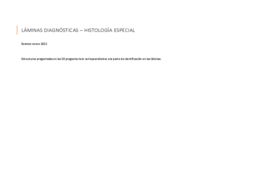 Miniatura del documento EXAMEN-LAMINAS-ENERO-2022.pdf