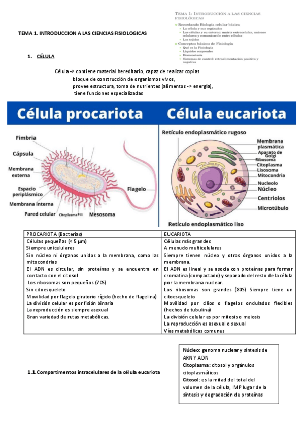 Miniatura del documento TEMA-1.pdf