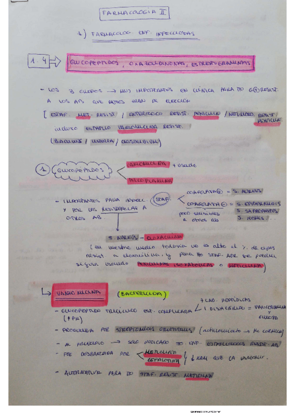Miniatura del documento 1-4-ANTIINFECCIOSOS-glucopeptidos.pdf