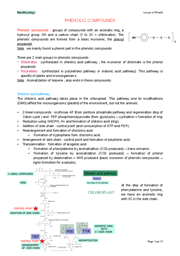 Miniatura del documento Lesson-3-Part-3-Corrected-Physiology-Vegetal.pdf