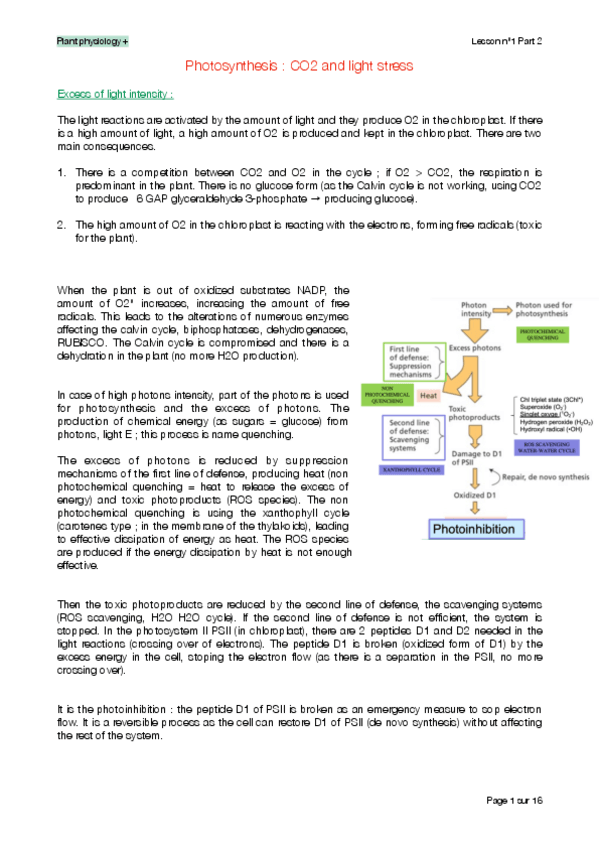Miniatura del documento Plant-physiology-Lesson-1-Part-2.pdf