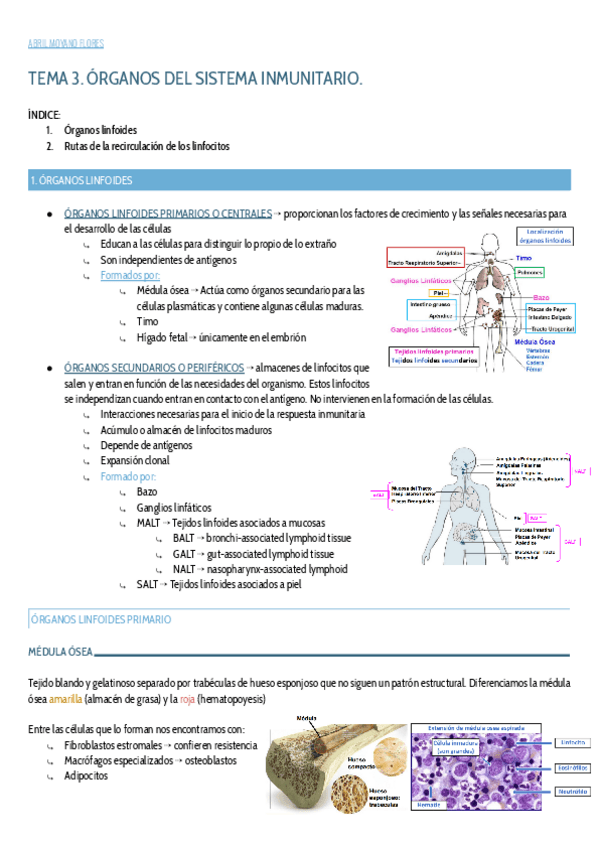 Miniatura del documento TEMA-3.pdf