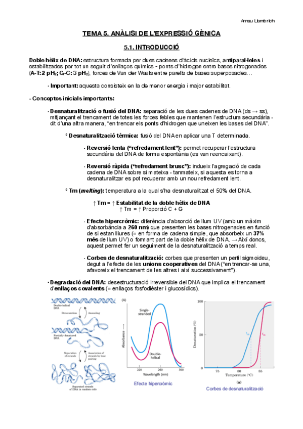 Miniatura del documento Apunts-Enginyeria-Genetica-Tema-5.pdf