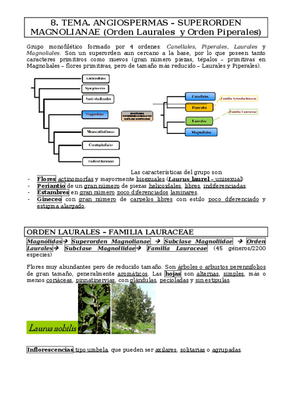 Miniatura del documento tema-8.docx