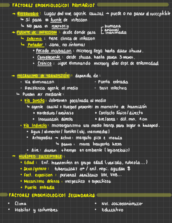 Miniatura del documento Cosas-Importantes-Adulto.pdf