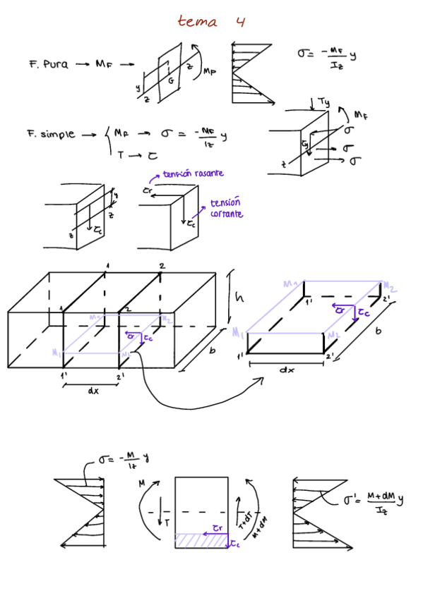 Miniatura del documento tema4Elasticidad.pdf