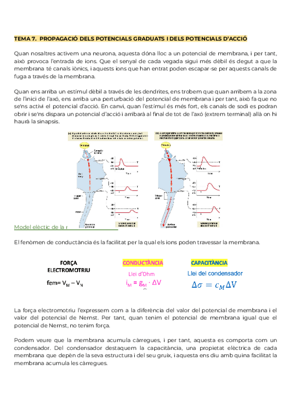 Miniatura del documento Tema-7.pdf