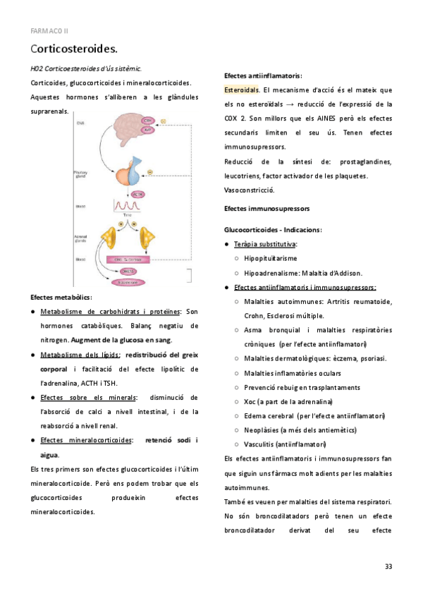 Miniatura del documento 12.pdf